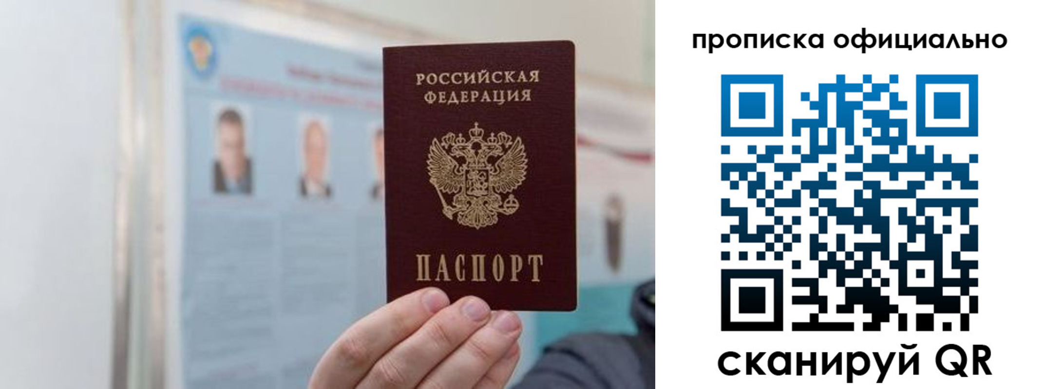 прописка гарантия в Заинске